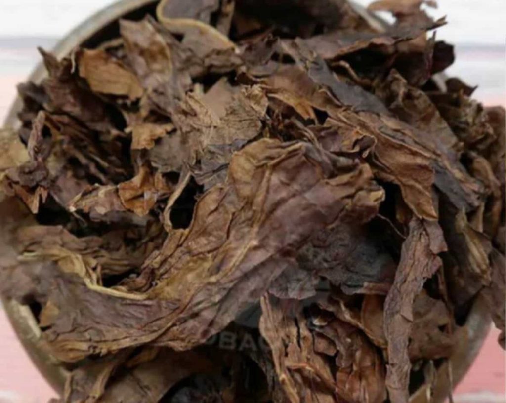 Smoke-cured Latakia tobacco, poised for blending